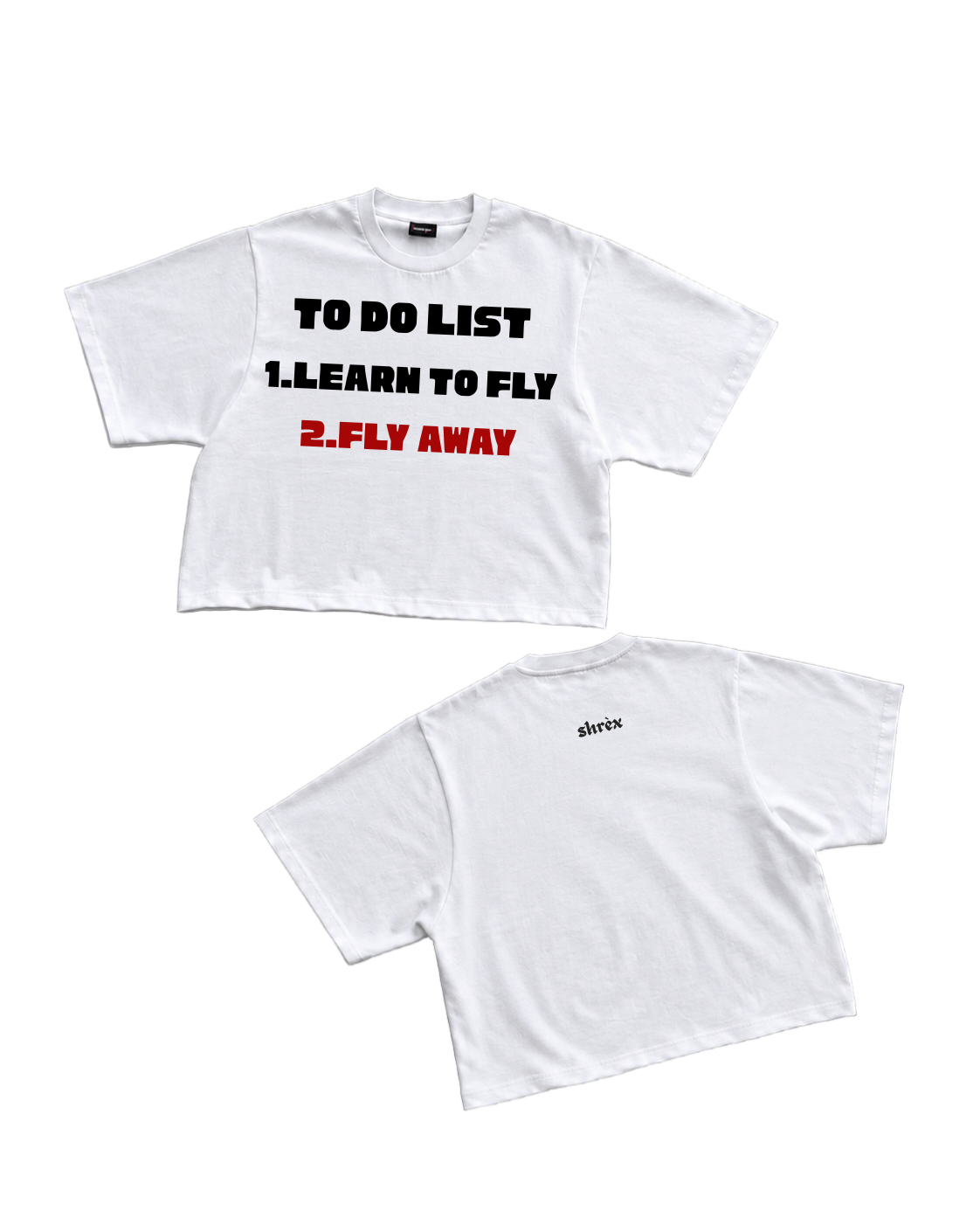 FLY AWAY